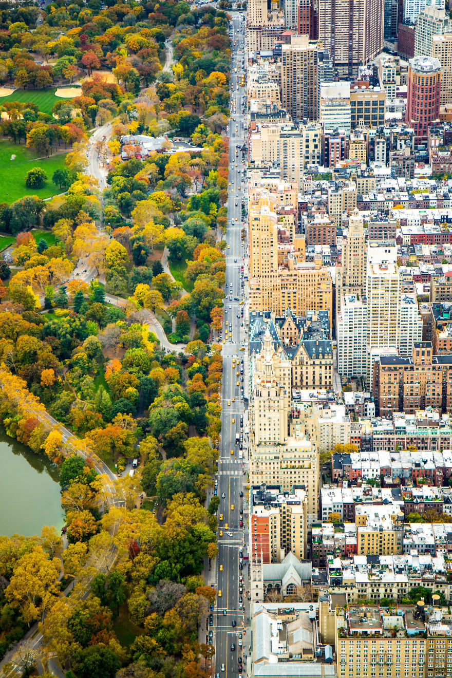central-park-contrast-new-york-city-2__880
