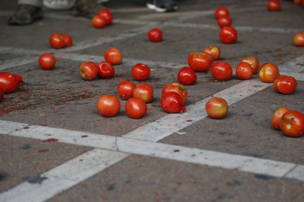 kafasia-ntomates-ftt-1