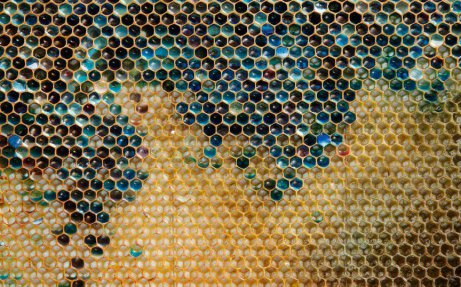 To 2012 κάποιες μέλισσες στη Γαλλία παρήγαγαν μπλε και μοβ μέλι επειδή είχαν έρθει σε επαφή με ένα container που περιείχε M&M's.